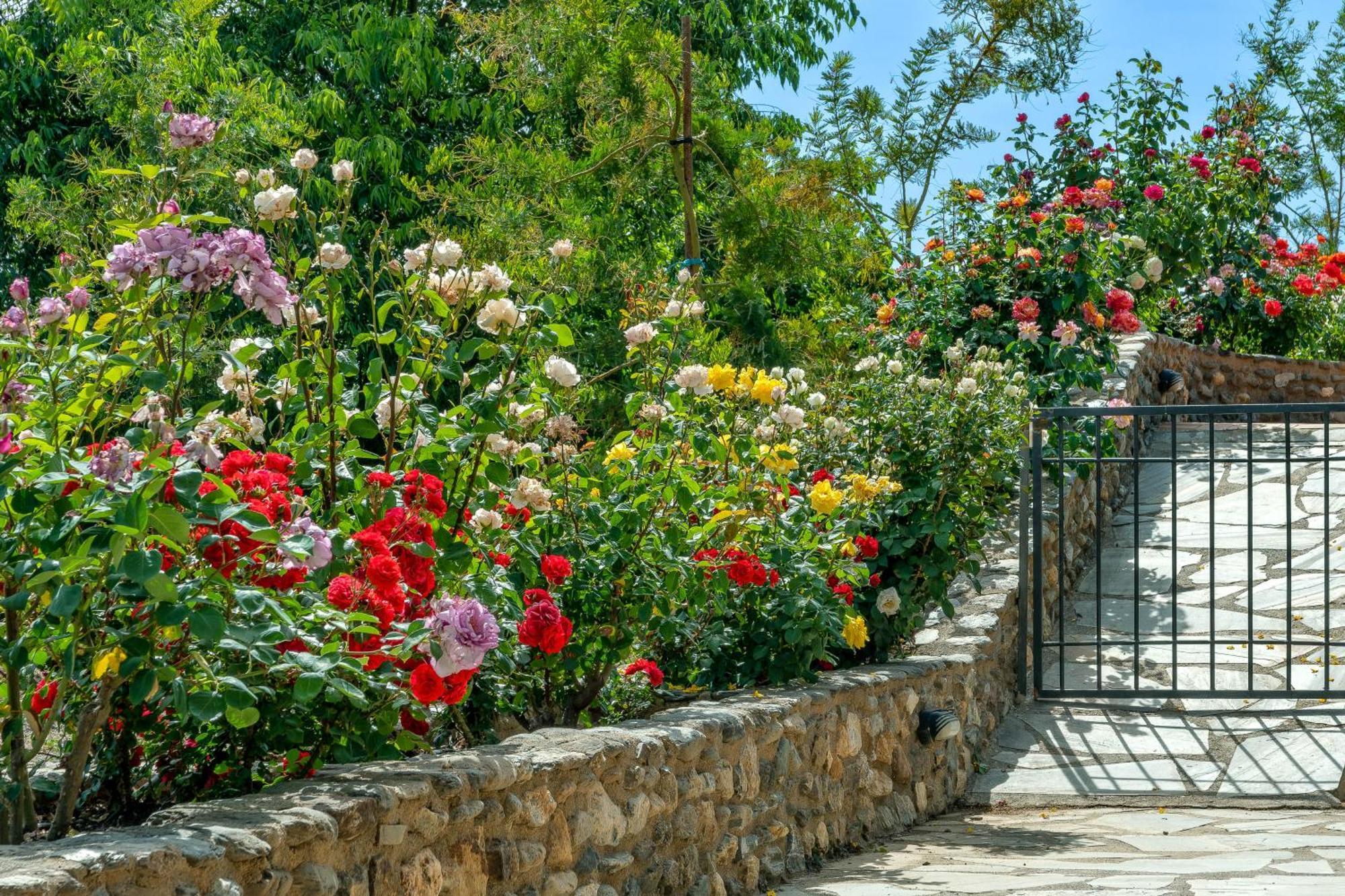 Alpujarra Sulayr Portugos